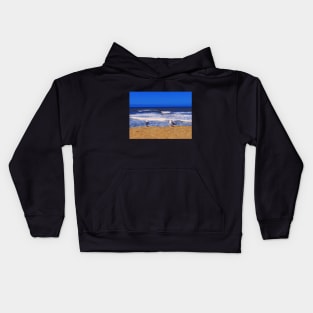 Two seagulls on a sandy beach blue ocean waves in San Diego California Kids Hoodie